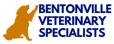 Bentonville Veterinary Specialists